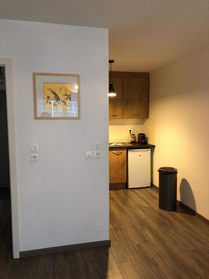 F2 Cote Ugc Climatise Plein Centre Parking Gratuit Apartment Strasbourg Exterior photo